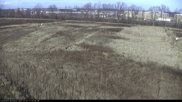 Cell 3_23-12-25_11-37-06-62