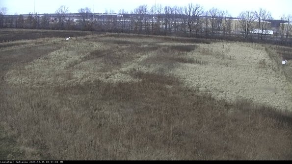 Cell 3_23-12-25_13-51-05-80