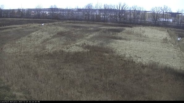 Cell 3_23-12-25_14-24-34-58