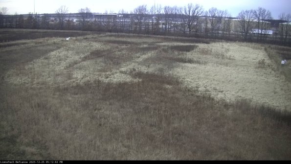 Cell 3_23-12-25_17-12-02-61