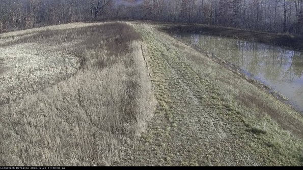 Cell 4 to Basin_23-12-25_11-38-04-64