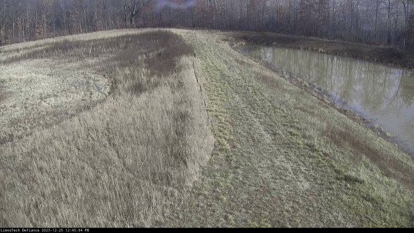 Cell 4 to Basin_23-12-25_12-45-04-62