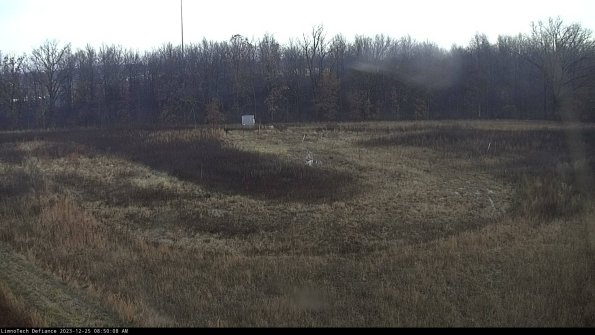 Cell 4_23-12-25_08-50-08-63