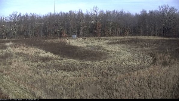 Cell 4_23-12-25_11-37-34-61