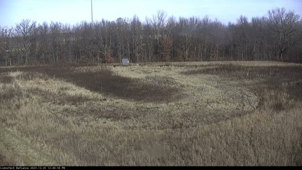 Cell 4_23-12-25_12-44-34-59