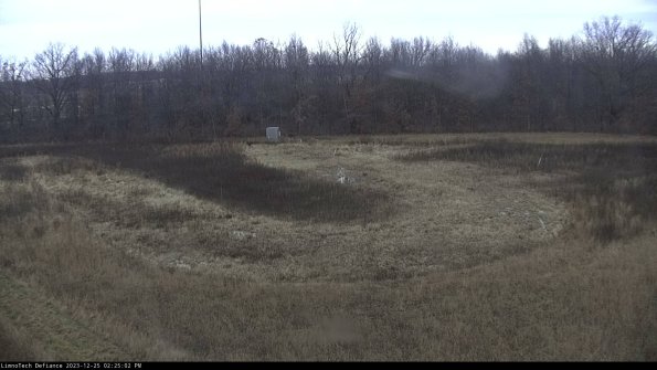 Cell 4_23-12-25_14-25-02-61