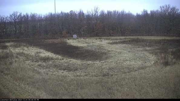 Cell 4_23-12-25_16-38-59-62