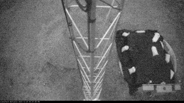 Hatch_23-12-25_17-47-40-62