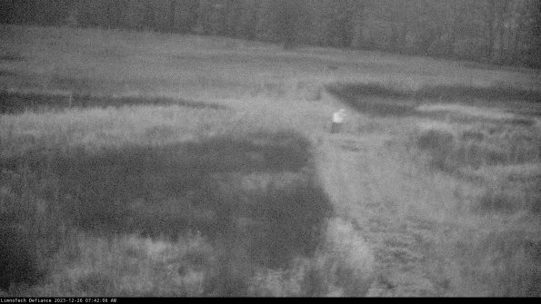 Cell 1 to 2_23-12-26_07-42-06-60