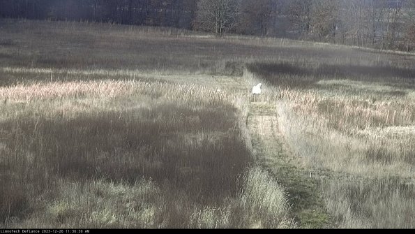 Cell 1 to 2_23-12-26_11-36-30-59