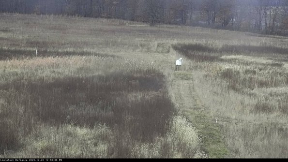 Cell 1 to 2_23-12-26_12-10-00-61