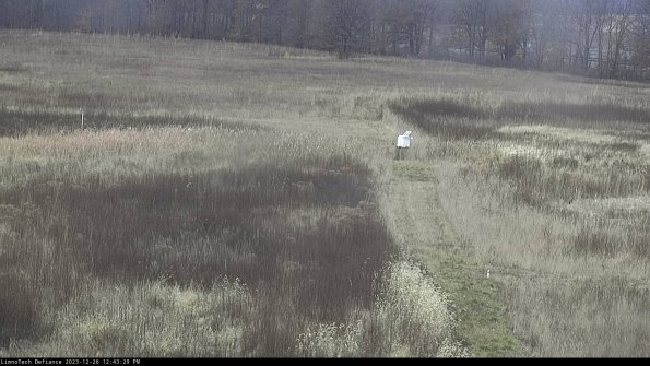 Cell 1 to 2_23-12-26_12-43-29-60