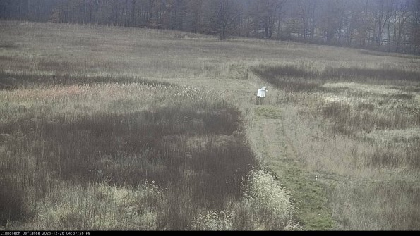 Cell 1 to 2_23-12-26_16-37-56-59