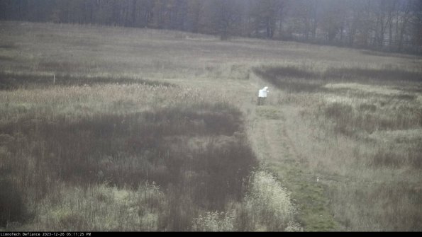 Cell 1 to 2_23-12-26_17-11-25-61