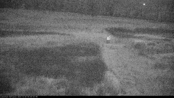 Cell 1 to 2_23-12-26_17-44-54-60