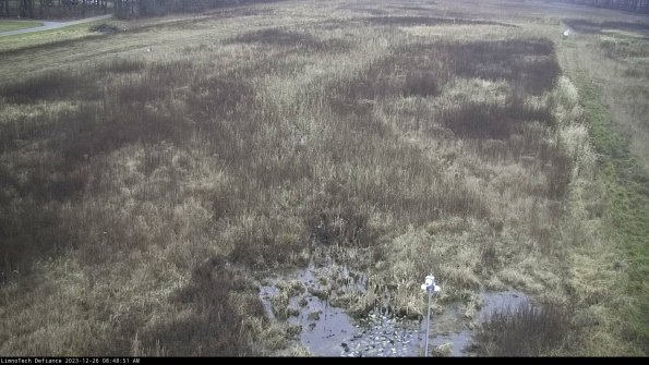 Cell 1_23-12-26_08-48-51-62