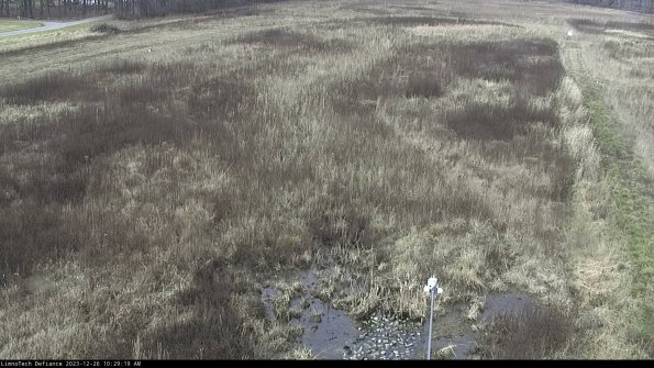 Cell 1_23-12-26_10-29-19-61