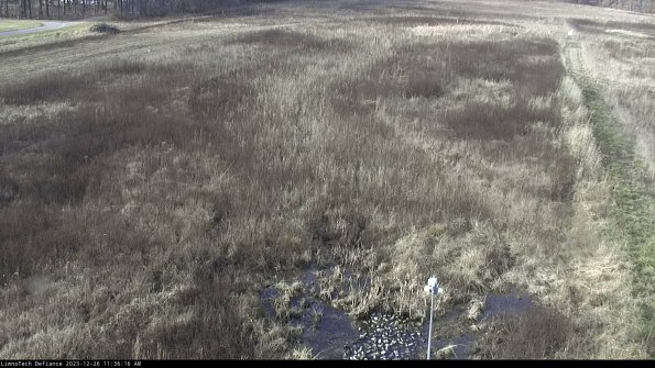 Cell 1_23-12-26_11-36-16-61