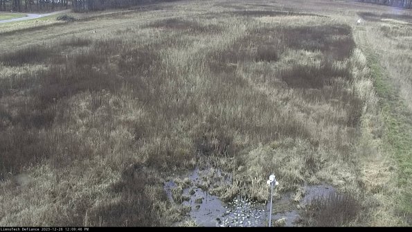 Cell 1_23-12-26_12-09-46-63