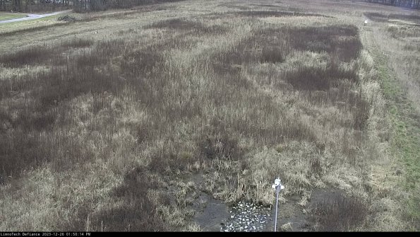 Cell 1_23-12-26_13-50-14-62