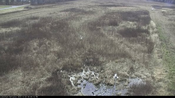 Cell 1_23-12-26_16-04-12-63