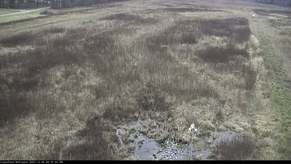 Cell 1_23-12-26_16-37-42-61