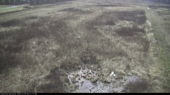 Cell 1_23-12-26_17-11-11-60