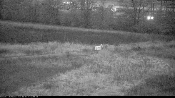 Cell 2 to 3_23-12-26_07-42-33-60