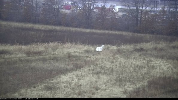 Cell 2 to 3_23-12-26_08-16-02-85