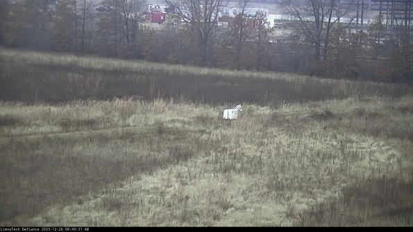 Cell 2 to 3_23-12-26_08-49-31-80