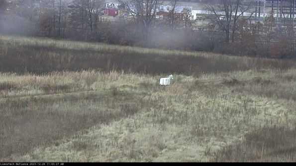 Cell 2 to 3_23-12-26_11-03-27-77