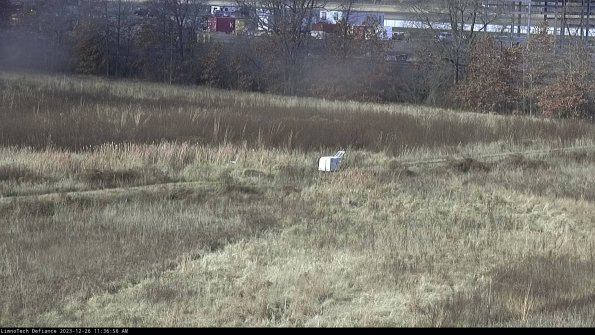 Cell 2 to 3_23-12-26_11-36-56-75