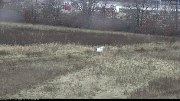 Cell 2 to 3_23-12-26_13-17-24-81