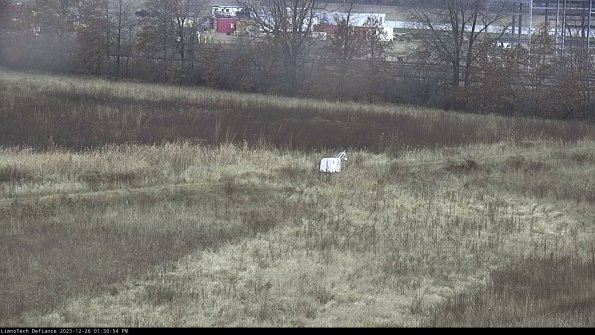 Cell 2 to 3_23-12-26_13-50-54-66