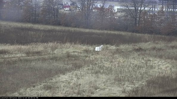 Cell 2 to 3_23-12-26_16-04-52-77