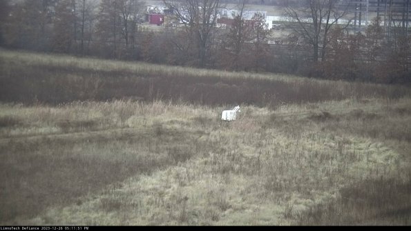 Cell 2 to 3_23-12-26_17-11-51-80