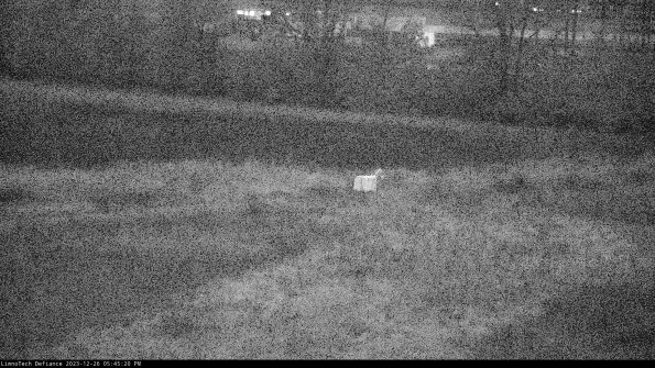 Cell 2 to 3_23-12-26_17-45-20-82