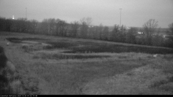 Cell 2_23-12-26_07-42-19-78