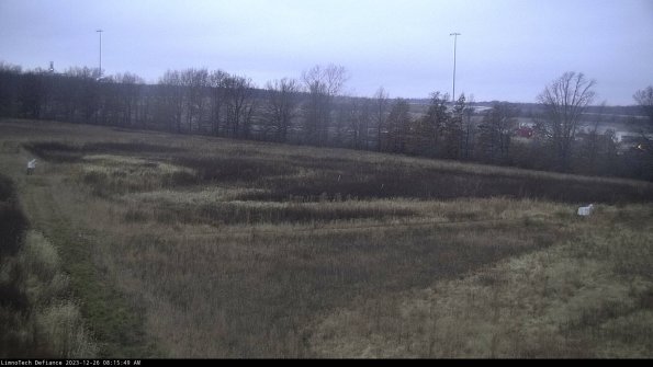 Cell 2_23-12-26_08-15-49-70