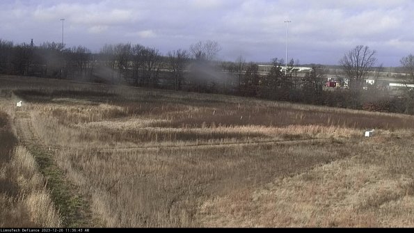 Cell 2_23-12-26_11-36-43-64