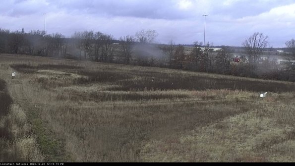 Cell 2_23-12-26_12-10-13-62