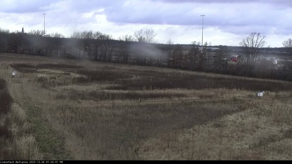 Cell 2_23-12-26_13-50-41-61