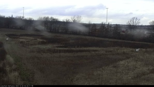 Cell 2_23-12-26_14-24-11-63