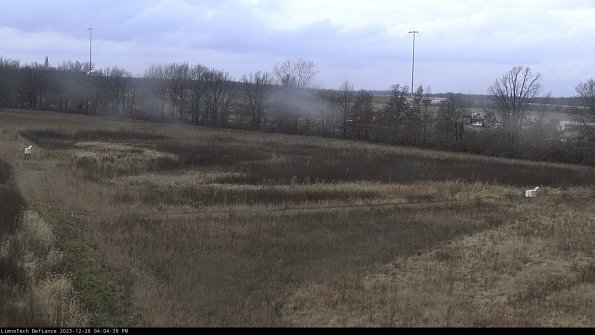 Cell 2_23-12-26_16-04-39-65