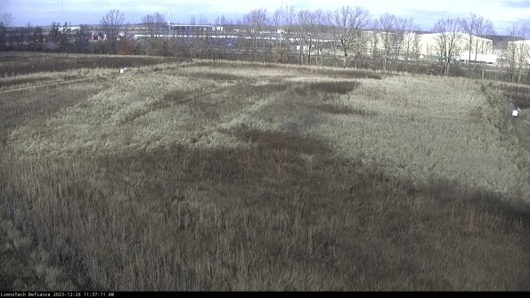 Cell 3_23-12-26_11-37-11-60