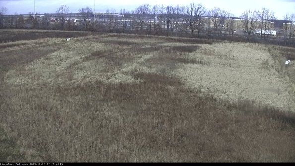 Cell 3_23-12-26_12-10-41-62