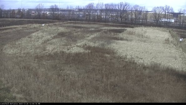 Cell 3_23-12-26_12-44-10-60