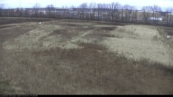 Cell 3_23-12-26_13-17-39-62