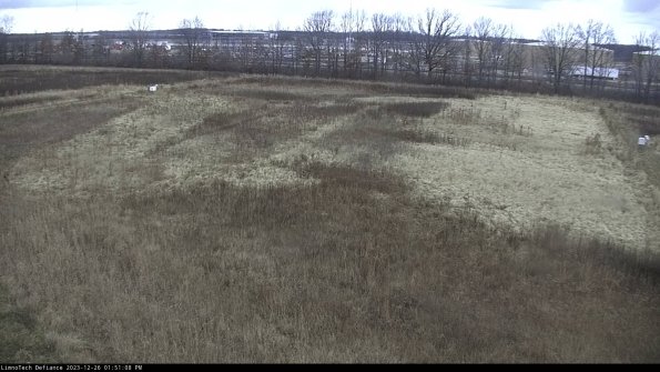 Cell 3_23-12-26_13-51-08-84