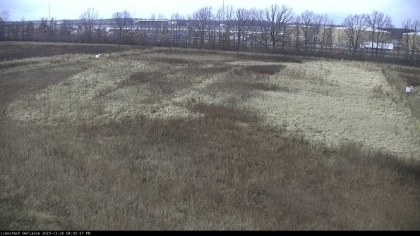 Cell 3_23-12-26_16-05-07-62